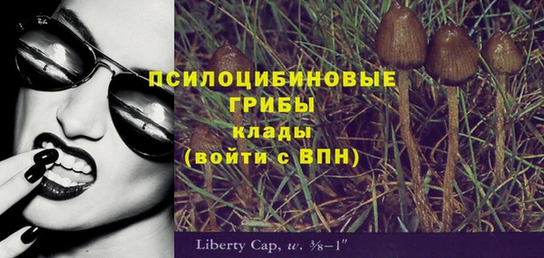 a pvp Богородск