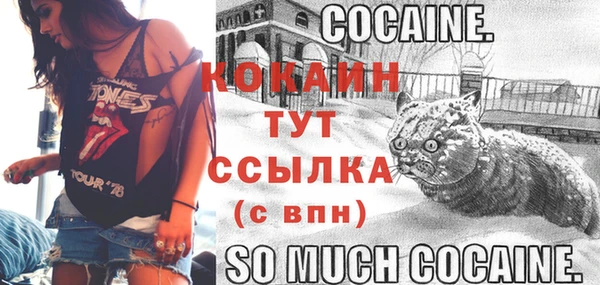 ALPHA PVP Беломорск