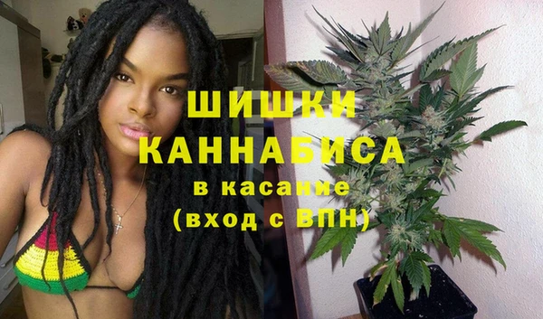 a pvp Белокуриха